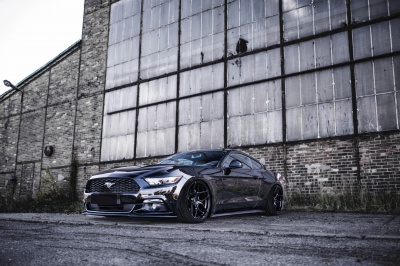 Ford pics