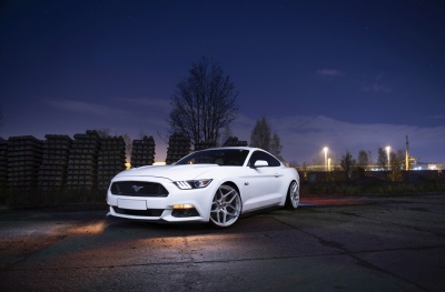 Ford pics