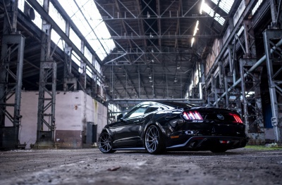 Ford pics