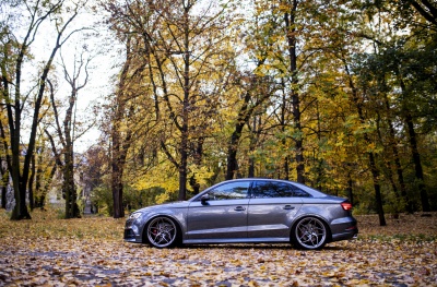 Audi japan racing wheels