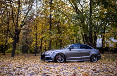 Audi japan racing rims