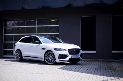 Jaguar pictures