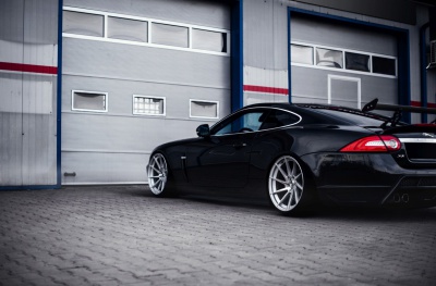 Jaguar images