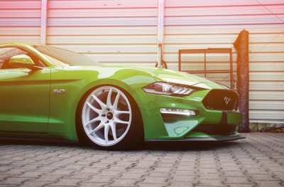 Ford White