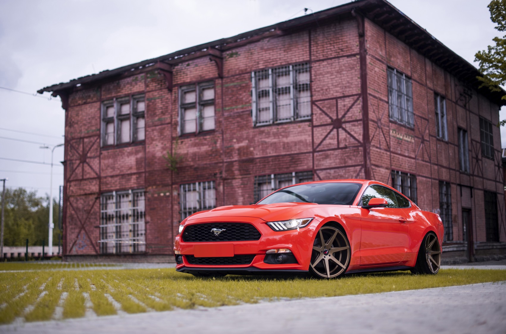 Ford gallery