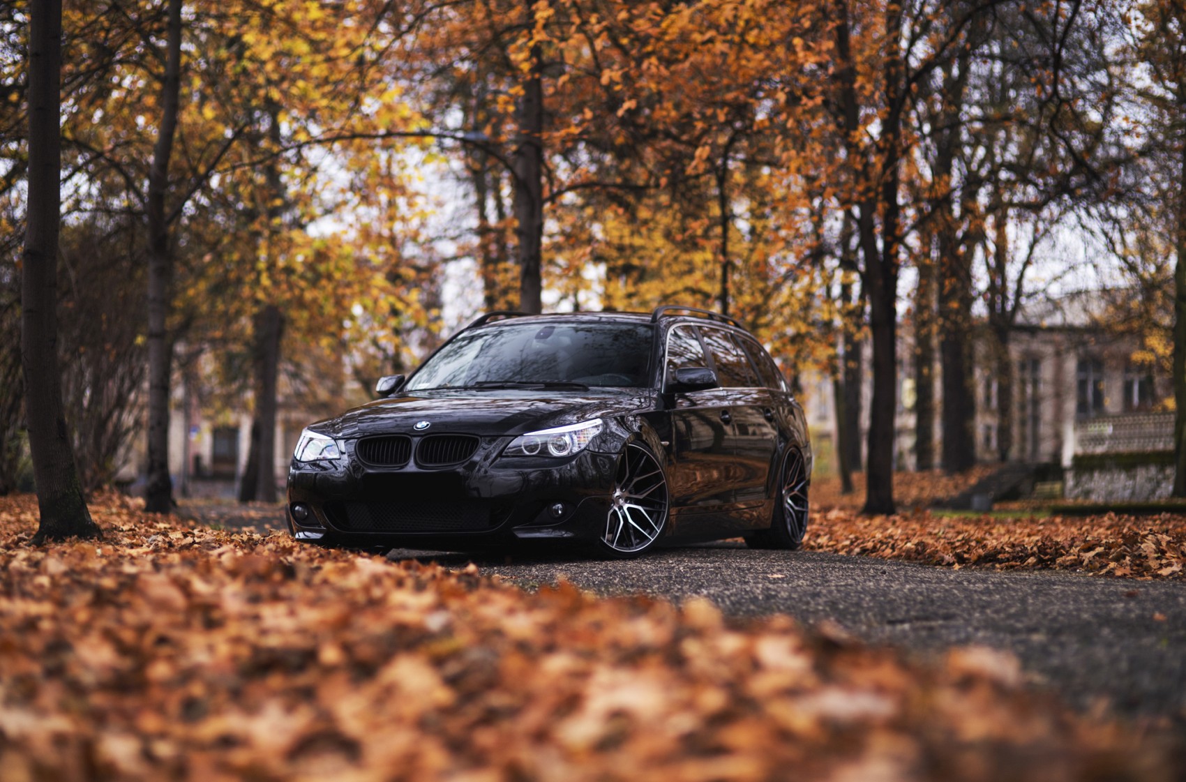 BMW gallery