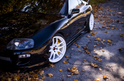 Toyota White