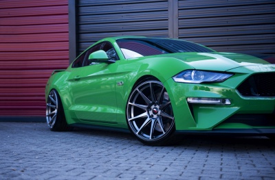 Ford pics