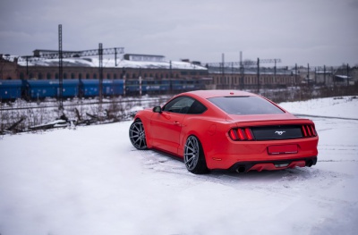 Ford Hyper Black