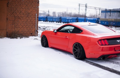 Ford pics