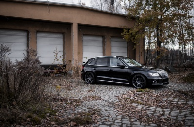Audi pics