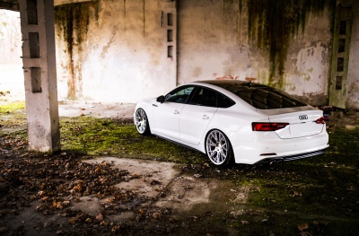 Audi japan racing rims