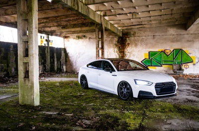 Audi pics