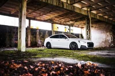 Audi japan racing wheels