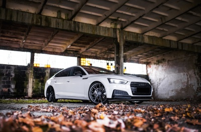 Audi japan racing rims
