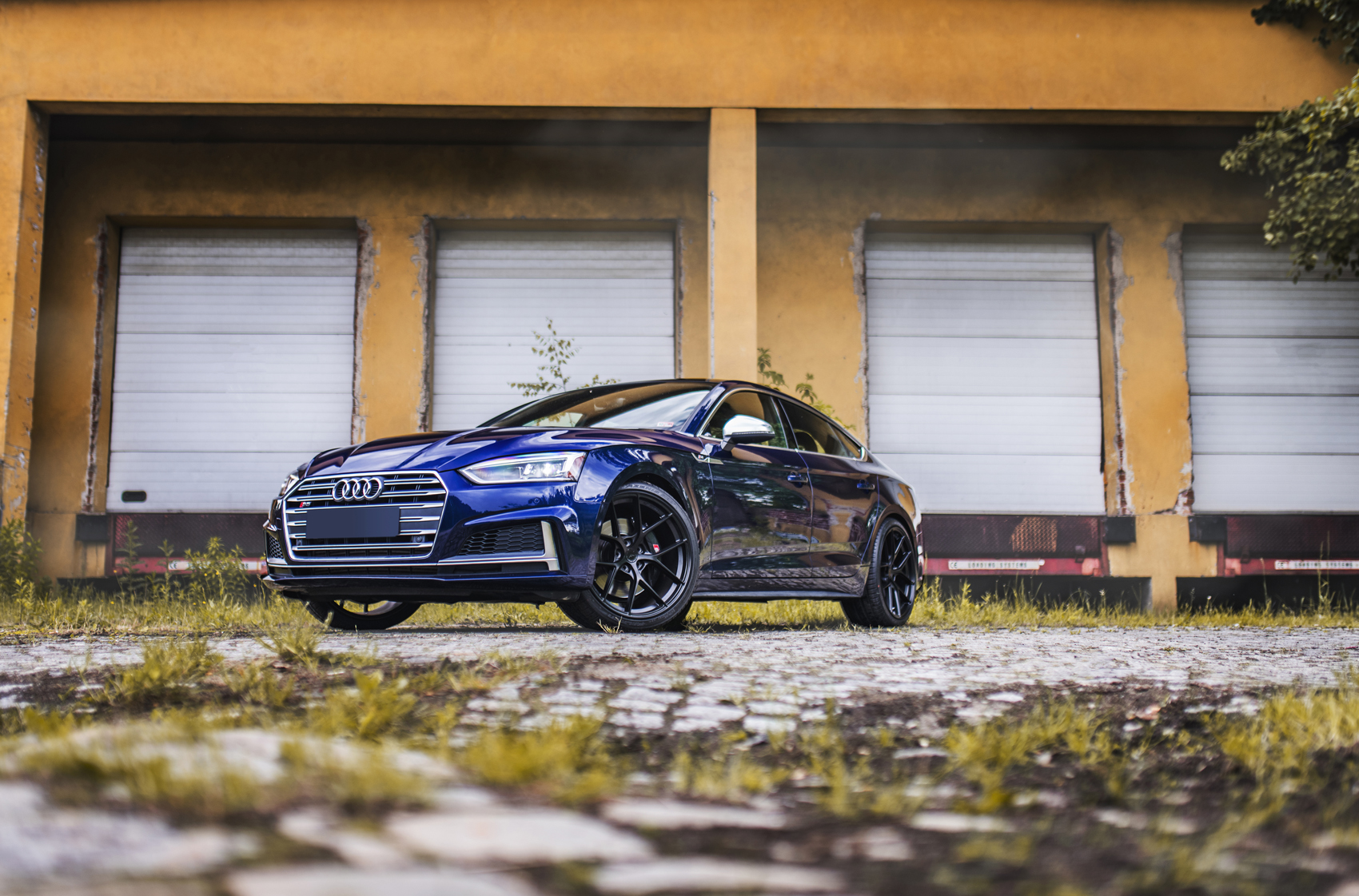 Audi S5 Photo Gallery
