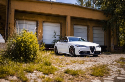 Alfa Romeo Matt Bronze