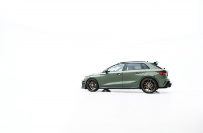 Audi japan racing rims