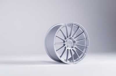 SL05 Matt Silver