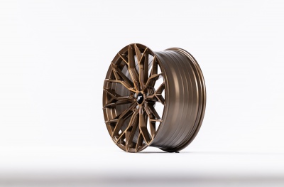 JR49 Platinum Bronze