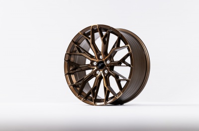 JR49 Platinum Bronze