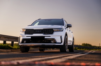 Kia Platinum Bronze