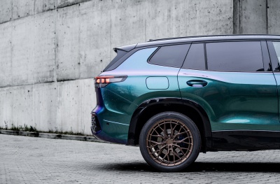 Volkswagen Matt Bronze