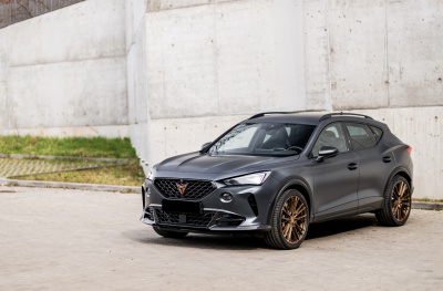 Cupra Platinum Bronze
